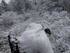 -西岭雪山大飞水景区