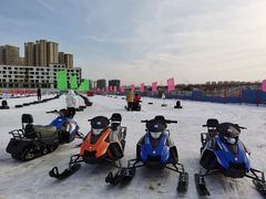 -丁香湖丁香小镇Citypark滑雪公园戏雪嘉年华