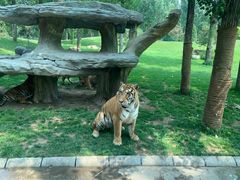 -北京野生动物园