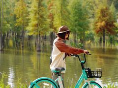 -白鹭湾湿地公园