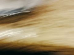 -原味四季椰子鸡(公明百佳华店)