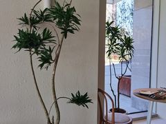 -小满Grainkitchen(滨江商业广场店)