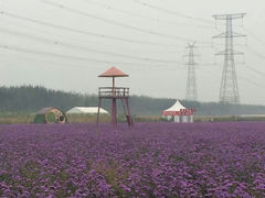 android_upload_pic-薰衣草NE庄园