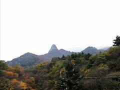 -秦岭风景区