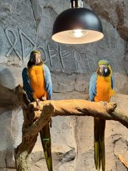 -Zoolung Zoolung动物主题公园(海信广场店)