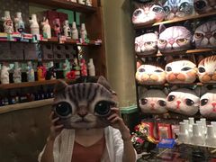 -猫咪博物馆(顶澳仔猫街店)
