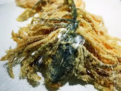 -直隶安家牛肉罩饼(建华店)