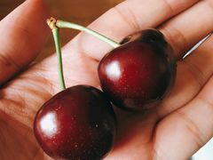 樱桃-胡家庙水果批发市场