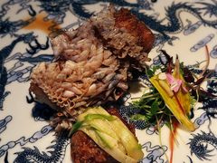 -地球美食剧场
