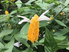 -弘法寺斋菜馆素食
