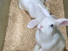 -上海大自然野生昆虫馆