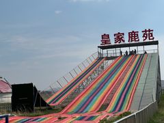 -丰宁坝上草原