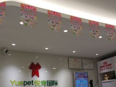 -悦宠动物医院(京丰分院)