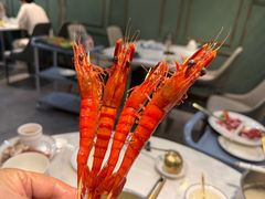 -喜聚薈·花膠雞海鮮火鍋(越秀店)