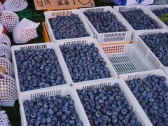 -南坛综合农贸市场