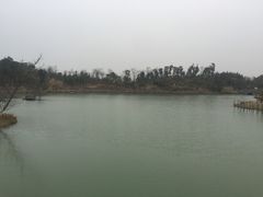 -瑶湖郊野森林公园