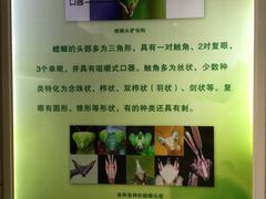 -上海昆虫博物馆