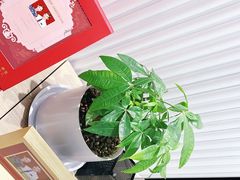 -海马体照相馆(环贸iapm大师爱情店)