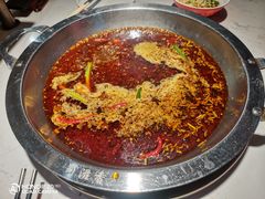 -蜀滋香鲜鱼美蛙火锅(339店)