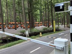 -黄海国家森林公园