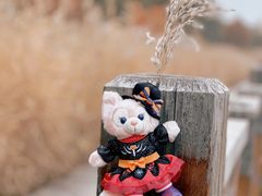 -野鸭湖国家湿地公园