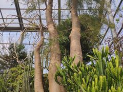 -南通洲际绿博园