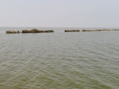 -微山湖红荷湿地景区