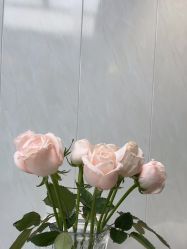 -吉米护肤造型