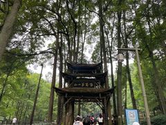 -青城山