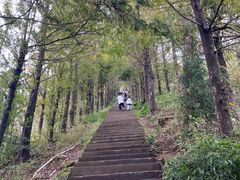 -东白山