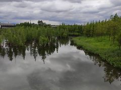 -白鹭湾湿地公园