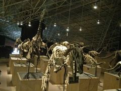 -世界恐龙谷景区