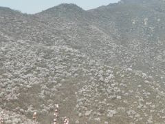 -北京凤凰岭