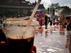 -西双版纳傣族园