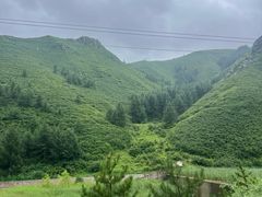 -苏木山森林公园