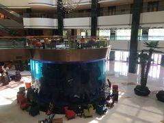 -OPEN開全日自助餐厅·牛肉火锅·海鲜(佛山希尔顿酒店)