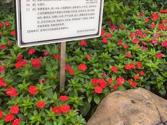 -荔湾湖公园