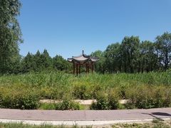 -北京麋鹿生态实验中心