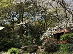 -中国茶叶博物馆(双峰馆区)