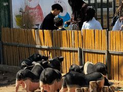 -保定市动物园