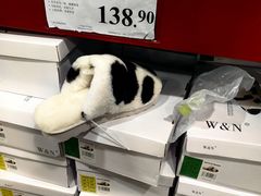 -山姆会员商店(亦庄创意生活广场店)