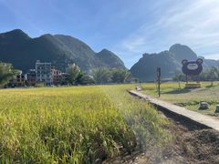 -靖西鹅泉风景区