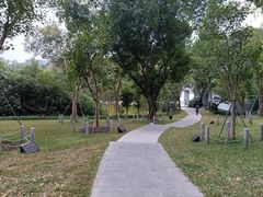 -深圳国际园林花卉博览园