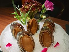 手工冰镇鲍鱼-木棉·醉心粤味(COCO Park店)