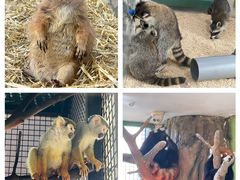 -海合安武汉极地海洋公园