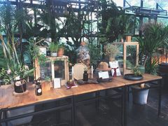 -北马山庄植趣咖啡