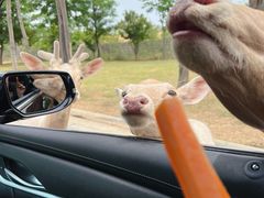 -南京金牛湖风景区