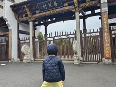-杏花村文化旅游区