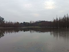 -白鹭湾湿地公园