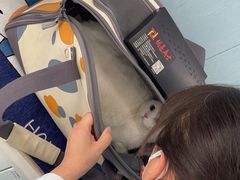 -纳吉亚猫专科动物诊疗中心(蒋宅口分院)